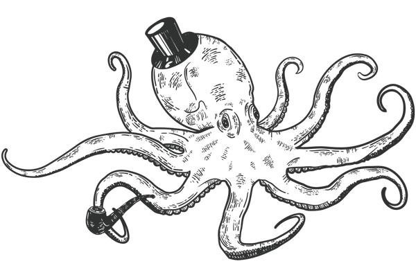 Angry Squid